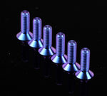 NRG Titanium Steering Wheel Screw Upgrade Kit (Conical) - Purple - SWS-100TI-PP