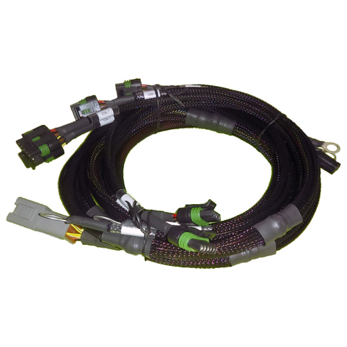 Haltech V8 Ford Small/Big Block 8 x Individual High Output IGN-1A Inductive Coil Harness [HT-130311]