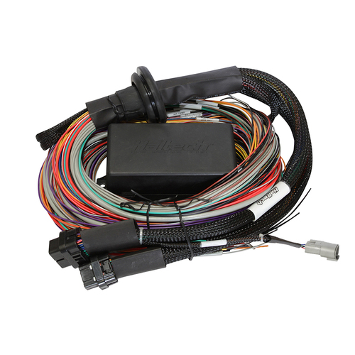 Haltech Elite 2500 & 2500 T Premium Universal Wire-in Harness [HT-141304]