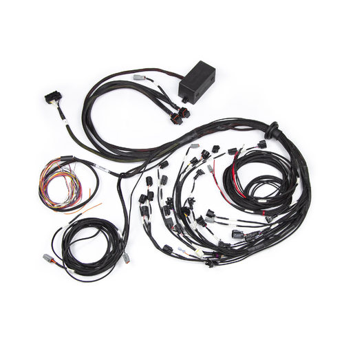 Haltech Elite 2500 Terminated Engine Harness For Ford Falcon BA/BF Barra 4.0L I6 [HT-141388]