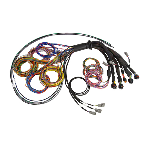 Haltech NEXUS R5 Basic Universal Wire-In harness  [HT-185200]