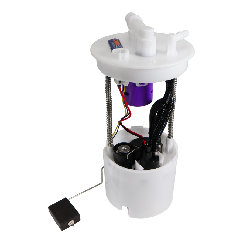 Photo - Primary