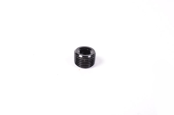 Radium NPT Round Internal Hex Plug - Revzone