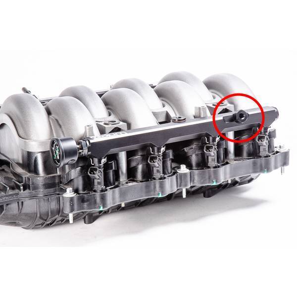 Radium M10x1mm Female to 1/8NPT Male Fitting - Ford Mustang GT FN 18-21 - Revzone