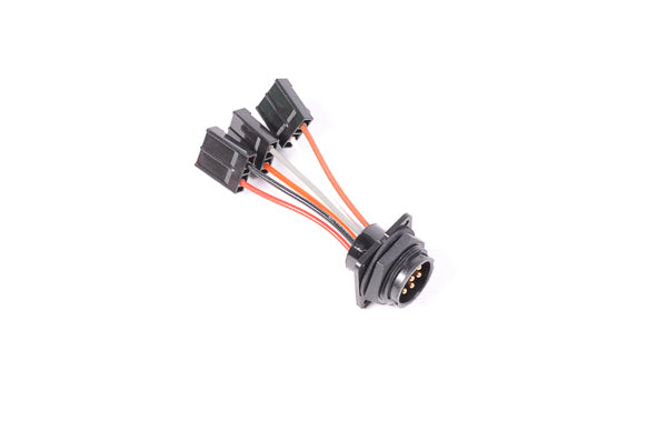Radium Internal Bulkhead Harness, Triple Walbro 255 Pumps - Revzone