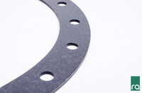 Radium Fuel Cell 24 Bolt Flange Gasket - Revzone
