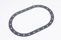 Radium Fuel Cell 24 Bolt Flange Gasket - Revzone