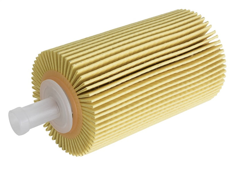aFe Pro GUARD D2 Oil Filter 07-17 Toyota Tundra/Sequoia V8 4.6L/5.7L (4 Pack) - 44-LF015-MB