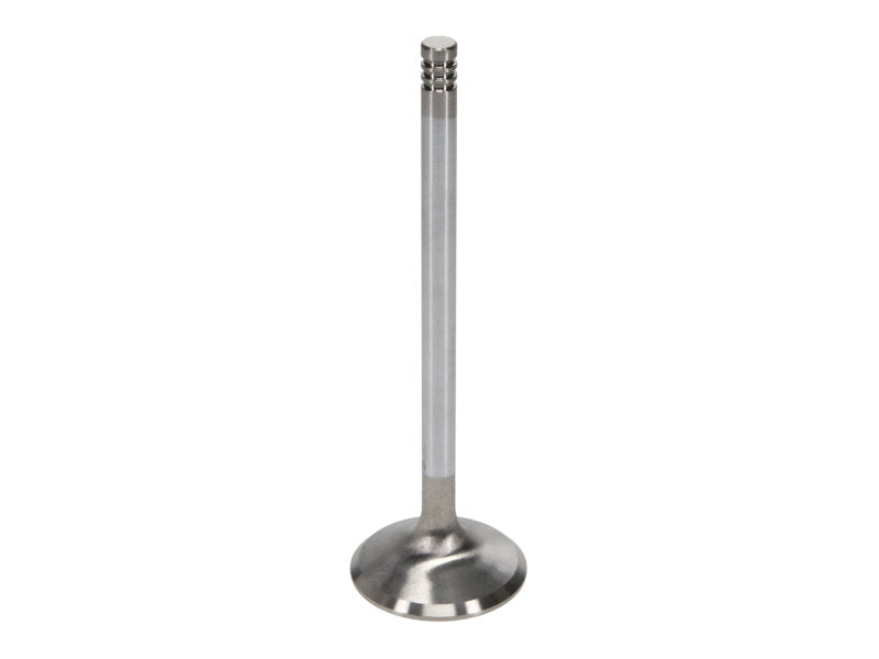 Manley Ford 6.2L 42mm Diameter 5.356in O/A Length Race Master Exhaust Valves (Set of 8) - 11611-8
