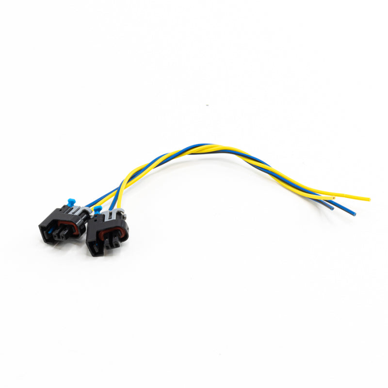 DeatschWerks Delphi Top Feed Injector Clips - conn-delphi