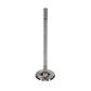 Manley Ford 4.6L/5.4L DOHC 4V 37mm Dia 5.339in Length Bead Loc Race Master Intake Valves (Set of 8) - 11616B-8