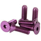NRG Steering Wheel Screw Upgrade Kit (Conical) - Purple - SWS-100PP