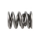 Manley Nissan (KA24DE) 16pc Valve Springs - 22160-16
