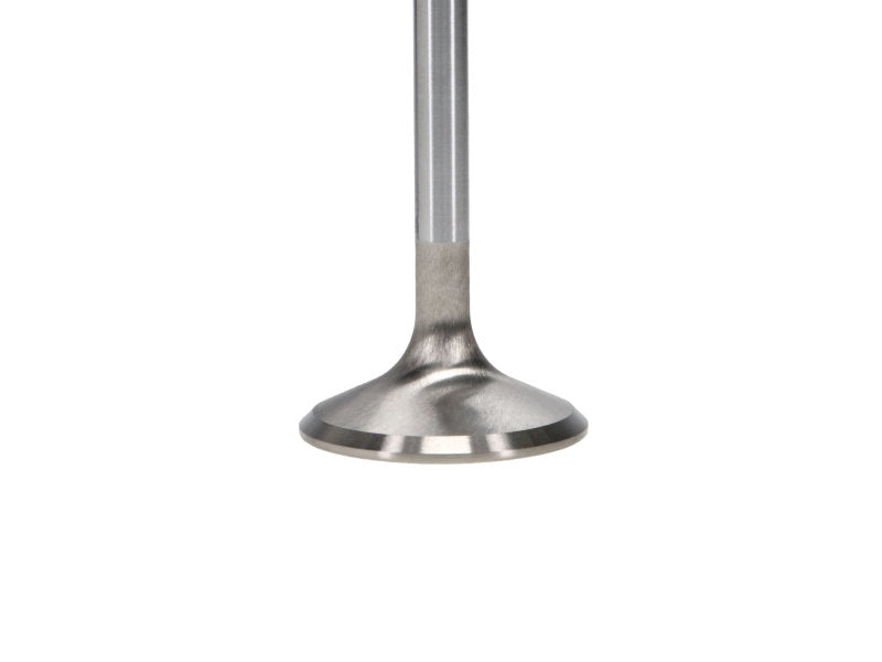 Manley Ford 6.2L 42mm Diameter 5.356in O/A Length Race Master Exhaust Valves (Set of 8) - 11611-8
