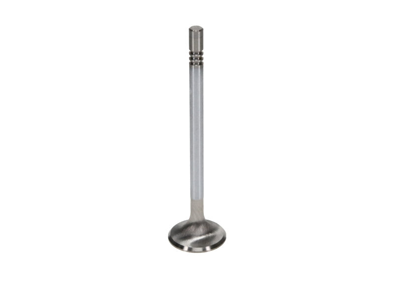 Manley Ford Coyote 5.0L 31mm Extreme Duty Exhaust Valves (Set of 8) - 12623-8