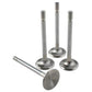 Manley VW Type IV Single Groove 38mm Race Master Exhaust Valves (Set of 4) - 11659-4