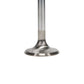 Manley Ford 2300 1.590 in Esslingerin Race Master Exhaust Valve - Single - 11795-1