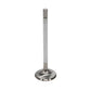 Manley Ford 4.6L/5.4L SOHC (2 Valve) 96-98 w/Bead Loc Groove 36mm Race Master Exhaust Valve - Single - 11637B-1