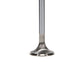 Manley Ford Coyote 5.0L 31mm Extreme Duty Exhaust Valves (Set of 8) - 12623-8