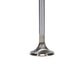 Manley Ford 5.0L DOHC (4 Valve) 31.5mm Head Diameter Triple Groove Master Exhaust Valves - Single - 11625-1