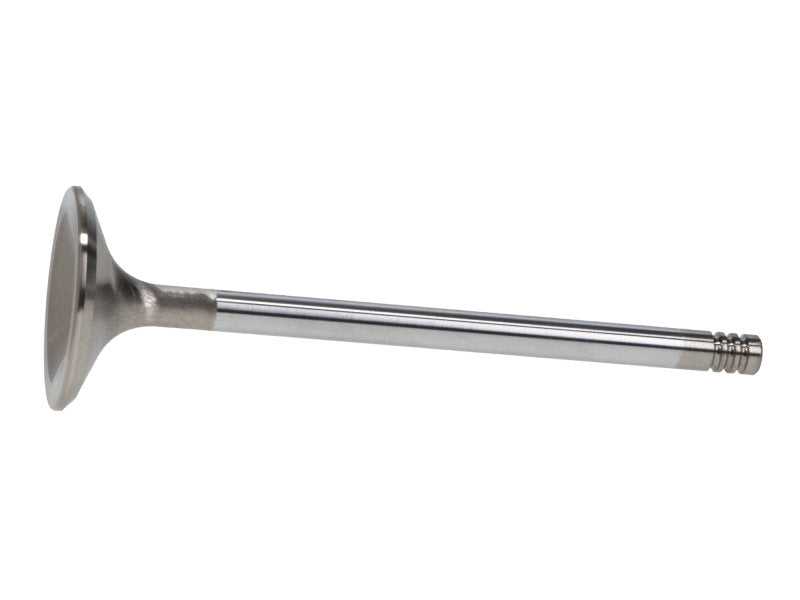 Manley Ford 6.2L 42mm Diameter 5.356in O/A Length Race Master Exhaust Valves (Set of 8) - 11611-8