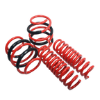 AST lowering spring set detail - AST Suspension - Revzone