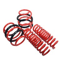 AST lowering spring set detail - AST Suspension - Revzone