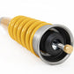 Ohlins Road & Track Coilovers - Audi A4, S4, RS4 B9/A5, S5, RS5 F5