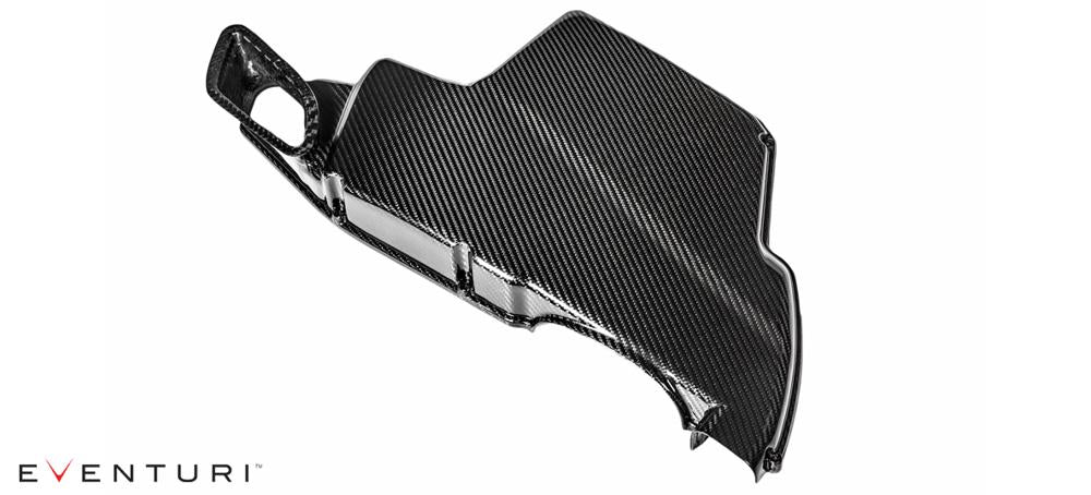Eventuri BMW E9X M3 Carbon Airbox Lid Gloss - Revzone
