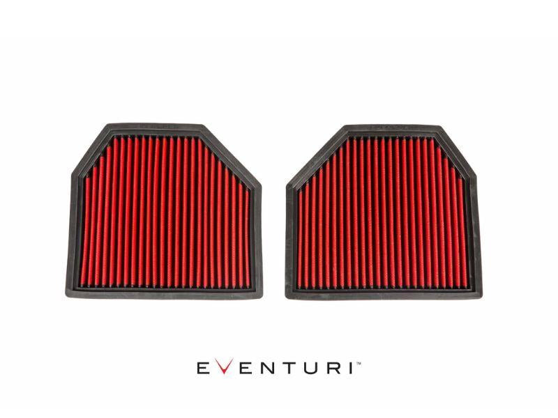 Eventuri Pair of Panel Filters - BMW F1X M5/M6 - Revzone