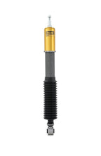 Ohlins Road & Track Coilovers - Honda Civic Type-R FK8 17-22/FL5 23+ - Revzone