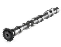 Integrated Engineering Street/Race Exhaust Camshaft - Audi/VW 1.8T 20V Engines - Revzone