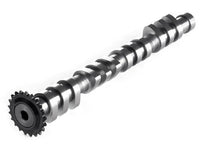 Integrated Engineering Street/Race Intake Camshaft - Audi/VW 1.8T 20V Engines - Revzone