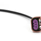 Integrated Engineering Plug and Play Flex Sensor Kit w/Harness - Audi A3 S3 8V/VW Golf GTI R Mk7-7.5