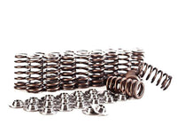 Integrated Engineering Valve Spring & Retainer Kit - Audi RS3 8P/8V/TT RS 8J/8S