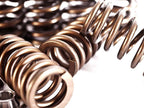 Integrated Engineering Valve Spring & Retainer Kit - Audi RS3 8P/8V/TT RS 8J/8S