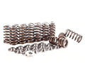 Integrated Engineering Spring & Retainer Set - Audi/VW EA113/EA888 2.0 TSI/TFSI - Revzone
