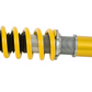 Ohlins Road & Track Coilovers - Nissan Skyline GT-R R33/R34