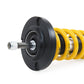 Ohlins Road & Track Coilovers - Porsche Boxster/Cayman 986, 987