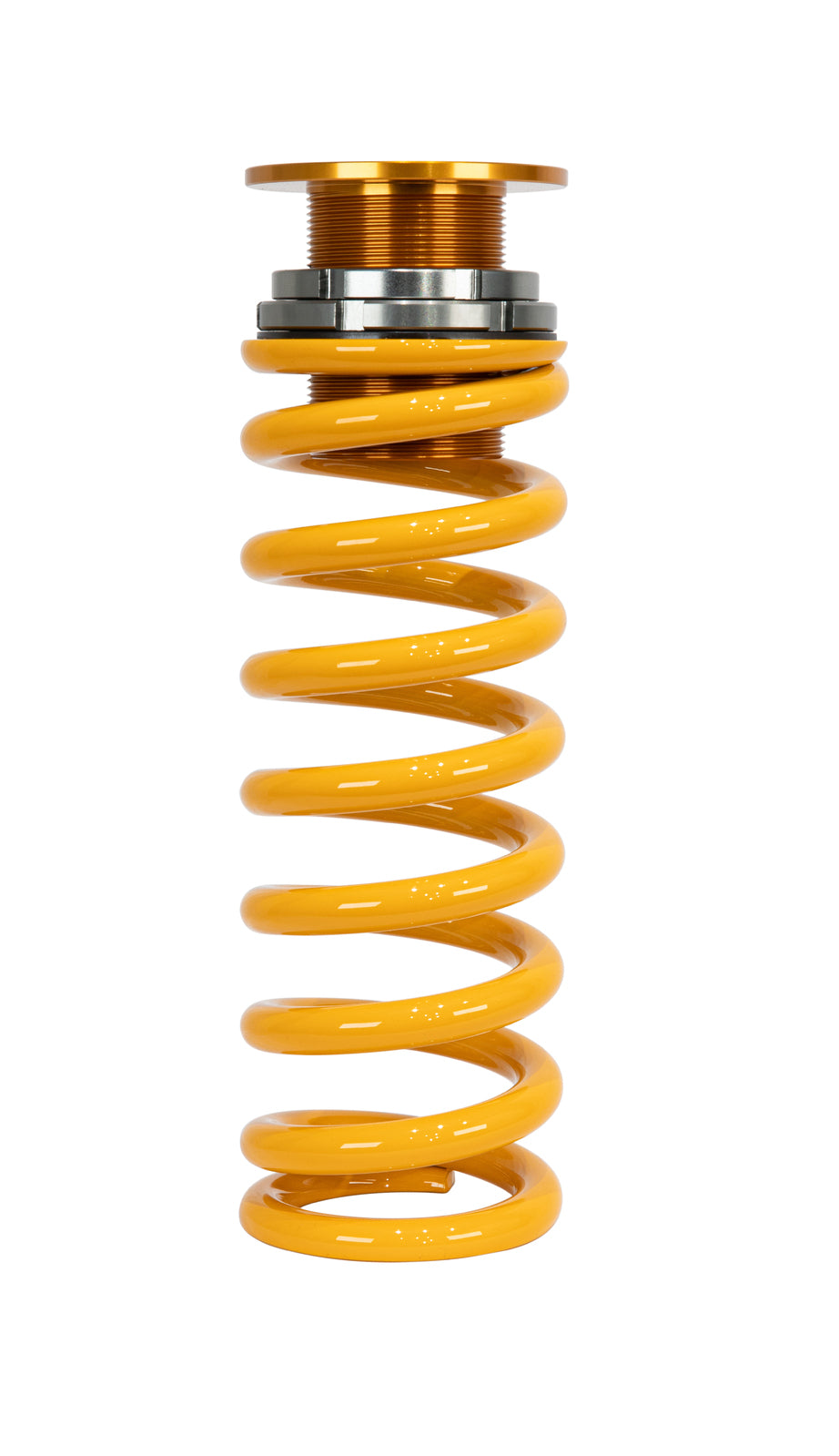 Ohlins Road & Track Coilovers - Toyota GR Corolla 23+