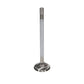 Manley Ford 5.0L DOHC (4 Valve) 31.5mm Head Diameter Triple Groove Master Exhaust Valves - Single - 11625-1