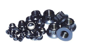 ARP 1/2-13 12pt nut kit - 301-8322