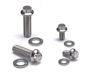 ARP Pontiac SS 12pt Fuel Pump Bolt Kit - 490-1601