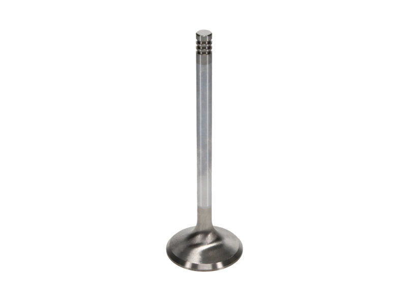 Manley Chrysler Hemi 6.1L w/ Triple Groove 1.625in Race Master Exhaust Valves (Single) - 11671-1