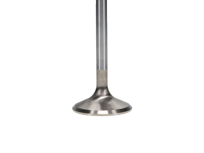 Manley Ford 6.2L 42mm Diameter 5.356in O/A Length Bead Lock Race Master Exhaust Valves (Set of 8) - 11611B-8