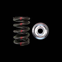 Brian Crower Race & Limited Street Dual Spring & Titanium Retainer Kit for Honda H22 (BC0030)