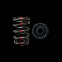 Brian Crower High Mileage Street Dual Spring & Steel Alloy Retainer Kit for Honda H22 (BC0030S)