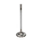 Manley Ford Racing Cylinder Head 4.6L & 5.4L SOHC 36.0mm Race Master Exhaust Valve (Single) - 11637-1
