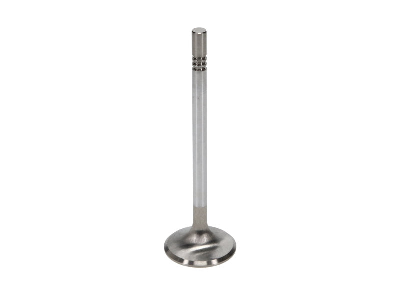 Manley Ford Racing Cylinder Head 4.6L & 5.4L SOHC 36.0mm Race Master Exhaust Valve (Single) - 11637-1