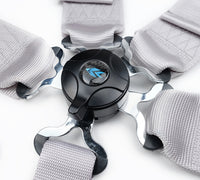 Photo - Close Up